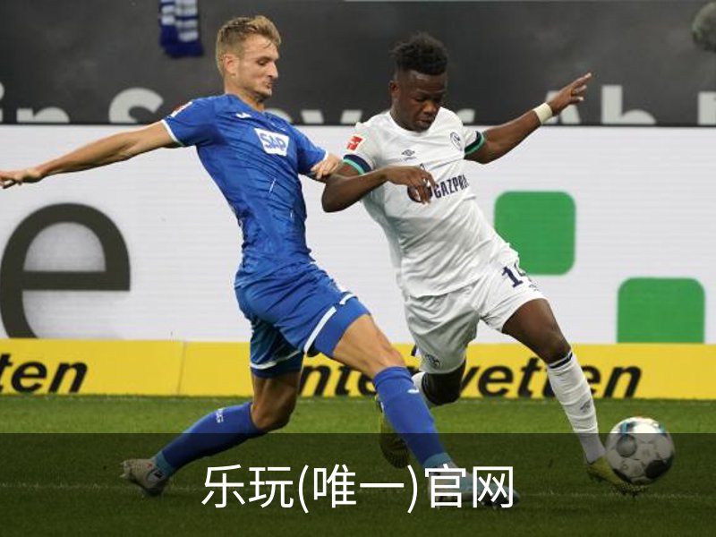 乐玩(唯一)官网简介